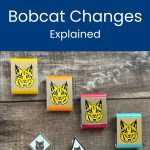 Perubahan peringkat bobcat cub pramuka dijelaskan