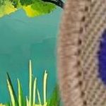 Scouts BSA World Conservation Award for 2025: Free Resources