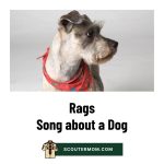 Lagu Rags: Lagu Anjing yang Menyenangkan dan Mudah