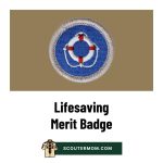Lifesaving Merit Badge for 2026: Free Resources and Answers