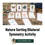 Aktivitas Simetri Bilateral Penyortiran Alam