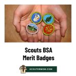 Scouts BSA Merit Badges for 2026: Free Resources