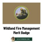 Wildland Fire Management Merit Badge: Free Resources and Answers