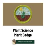 Plant Science Merit Badge for 2026: Free Resources and Answers